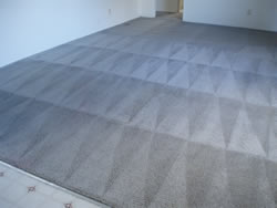 Carpet After